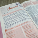 Bíblia da Mulher Tamanho Portátil Com Indice - Imagem 4