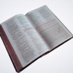 Bíblia Sagrada da Mulher de Fé NVI Couro Soft Flores - Imagem 3