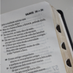 BIBLIA NTLH GRANDE-LUXO C/IND PRETA RYGU - Imagem 4