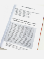 Comentário Exegético: Marcos – Robert H. Stein - Imagem 3