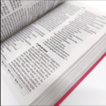 BIBLIA NAA L.GIGANTE LUXO S/IND REF 065 PINK/FLOR - Imagem 2