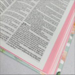 Biblia Arc 860 Floral Cantico - Letra Normal - Imagem 2