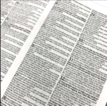 Bíblia Sagrada KJA Slim | Leão Rei dos Reis - Imagem 3