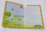 Livro Zoo De Deus: Não Tive a Intenção De Fazer Isso - Imagem 2