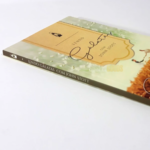 Lendo Gálatas com John Stott - John Stott - Imagem 2