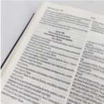 Bíblia Sagrada NVI Slim Luxo - Marrom - Imagem 2