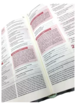 Bíblia Sagrada Nova Reforma NVI Letra Normal Capa PU Verde Texturizado - Imagem 4