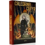 Livro Caledrina Cefyr e a Fonte Perdida/ Gabriela Costa