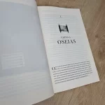 Livro As Cartas Perdidas Aos Doze Profetas/ John Goldingay - Imagem 3