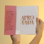 Livro Aprovada/ Bianca Franco - Imagem 7