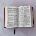 Bíblia Peshitta com Referências Capa Luxo Verde - Imagem 2