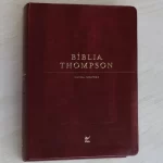 Bíblia Thompson de Estudo AEC Capa Luxo Vinho - Imagem 2