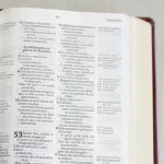 Bíblia Thompson de Estudo AEC Capa Luxo Vinho - Imagem 4