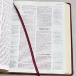 Bíblia Thompson de Estudo AEC Capa Luxo Vinho - Imagem 6