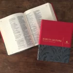 Bíblia | Letra Normal | NVI | Espaço Anotações | Capa Vermelha e Cinza - Imagem 9