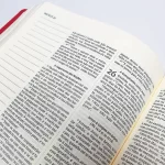 Bíblia | Letra Normal | NVI | Espaço Anotações | Capa Vermelha e Cinza - Imagem 11