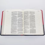 Bíblia | Letra Normal | NVI | Espaço Anotações | Capa Vermelha e Cinza - Imagem 10