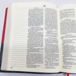 Bíblia | Letra Normal | NVI | Espaço Anotações | Capa Vermelha e Cinza - Imagem 14