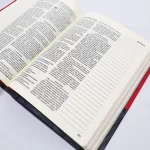 Bíblia | Letra Normal | NVI | Espaço Anotações | Capa Vermelha e Cinza - Imagem 13