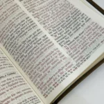 Bíblia Peshitta com Referências Letra Grande Capa Luxo - Imagem 5