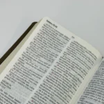 Bíblia Peshitta com Referências Letra Grande Capa Luxo - Imagem 6