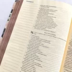Bíblia Sagrada | NVI | Leitura Perfeita | Letra Grande | Espaço para Anotações | Rosas - Imagem 3