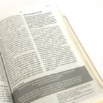 Bíblia de Estudos Joyce Meyer NVI Letra Normal Capa Azul Leão - Imagem 7