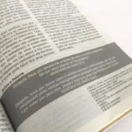 Bíblia de Estudos Joyce Meyer NVI Letra Normal Capa Azul Leão - Imagem 6