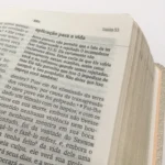 Bíblia de Estudos Joyce Meyer NVI Letra Normal Capa Azul Leão - Imagem 5