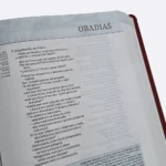 Bíblia de estudo Thomas Nelson Capa Vermelha - Imagem 6