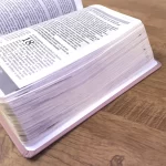 Bíblia De Estudo Joyce Meyer | NVI | Letra Grande | Capa Luxo Nude - Imagem 6
