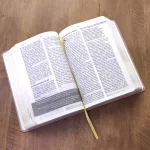 Bíblia De Estudo Joyce Meyer | NVI | Letra Grande | Capa Luxo Nude - Imagem 4