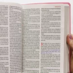 Bíblia Sagrada Harpa Celestial 774 ERC Letra Extra Gigante Capa Rosa Flor Azul - Imagem 6