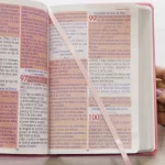Bíblia Sagrada Harpa Celestial 774 ERC Letra Extra Gigante Capa Rosa Flor Azul - Imagem 5