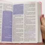 Bíblia Sagrada Harpa Celestial 774 ERC Letra Extra Gigante Capa Rosa Flor Azul - Imagem 7