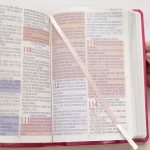 Bíblia Sagrada Harpa Celestial 774 ERC Letra Extra Gigante Capa Pink Floral - Imagem 6