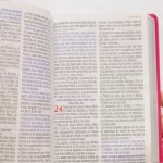 Bíblia Sagrada Harpa Celestial 774 ERC Letra Extra Gigante Capa Pink Floral - Imagem 7