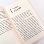 Livro Minha História Vai Impactar a Sua/ Hernandes Dias Lopes - Imagem 3