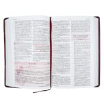 Biblia da Mulher de Fe NVI Couro Soft Vermelho - Imagem 6