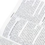 Bíblia RA Extra Luxo com Índice Rosa e Vinho - Imagem 4