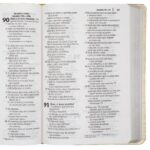 Bíblia Sagrada ARA Letra Grande Capa Cristal Dourado Fosco - Imagem 3