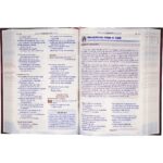 Bíblia Sagrada NTLH Capa Dura Extreme Teen - Imagem 2