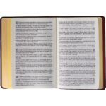 Bíblia Sagrada com Harpa Cristã Letra Gigante - Imagem 2