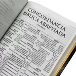 Biblia Sagrada Com Dicionário e Concordância / RC - Imagem 3