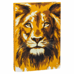 Bíblia Aslam Gold NAA Letra Grande Capa Dura