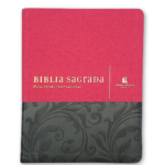 Bíblia | Letra Normal | NVI | Espaço Anotações | Capa Vermelha e Cinza