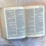 Bíblia BKJ 1611 Letra Ultragigante Capa Rosê - Imagem 4