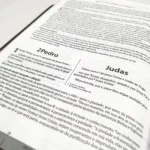 Bíblia de Estudo Integrada | NVI (Marrom) - Imagem 5