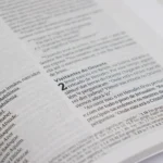 Bíblia Lion Head NVT Letra Normal Capa Dura - Imagem 4