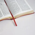 Bíblia De Estudo Joyce Meyer | NVI | Letra Grande | Capa Luxo Vermelha - Imagem 3